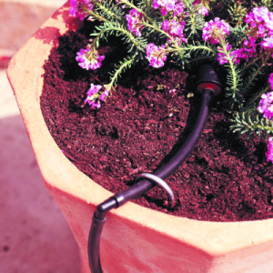 a drip irrigation system installed for flowers